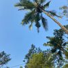 gamain_tiktok13