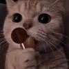 yurii_625