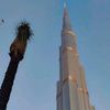 ansari.yasir