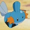 mudkip445