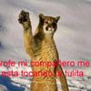 exequielcedillo