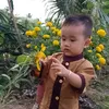 phucthien23