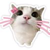 nownow_22
