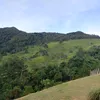 edilsonperesrocha