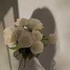 manoush073