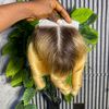 shirleyhairline