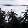 lelakitanpajalur