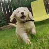 thelennyfiles