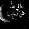 um.marwan029