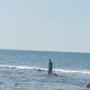 thanhtam_2411987