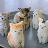 sushi_lococem