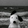 liliy._12