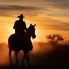 amar_najm2