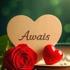 raniaqueen740