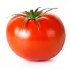 ___tomate_