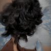 abdullah.zulfiqar51
