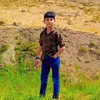 arybradosty