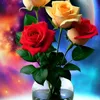 user9844185253008