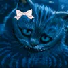 mariee_kitty