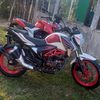 luisgomez2010ls