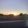 quinn_484