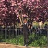 alexander_dlr