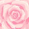 cereza07126