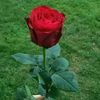 wendy.lopez610