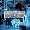 sapiens8888