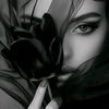 user19201058818051