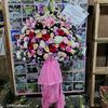 roniflorist6702657510073