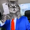 kot_makson