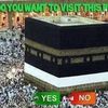 doaa.saad899