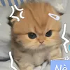 banhbaoboom