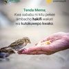 user1449911288721