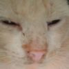 user761922068
