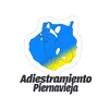 adiestramientopiernaviej