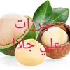 جرزات علي جلال