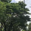 ilopu122