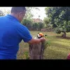 luiz.tavares219