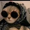 fatmajgji