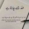 user431450164