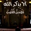 user7921432934267