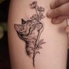 cute.cats244