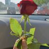 amalelkhodary2