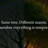 benicefornoreason6