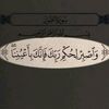 user73207473303662