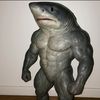 sharkydude09