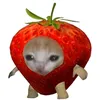 nue_lly3