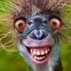 rajeabde